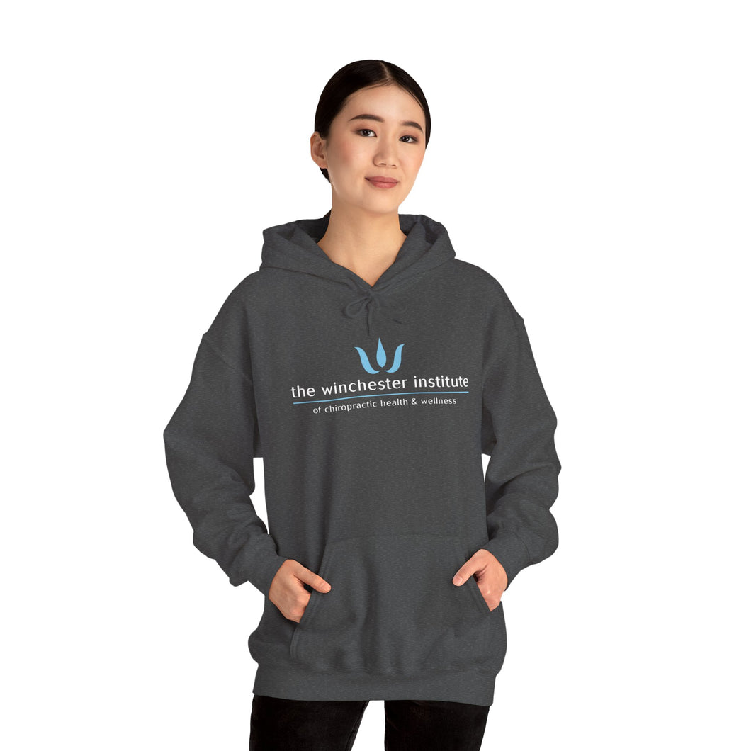 Winchester Institute Unisex Hooded Sweatshirt, Cozy Hoodie, Gift for Graduates, Inspirational Apparel, Unique College Sweatshirt